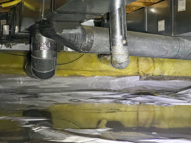 Best Basement water damage restoration  in Granville, WV