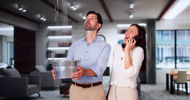 Best Fire Damage Restoration  in Granville, WV